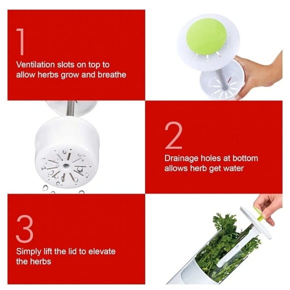 Cleae Borosilicate Glass Herb Keeper and Herb Storage‎ Container 12.2x4.7in - Picture 10 of 14